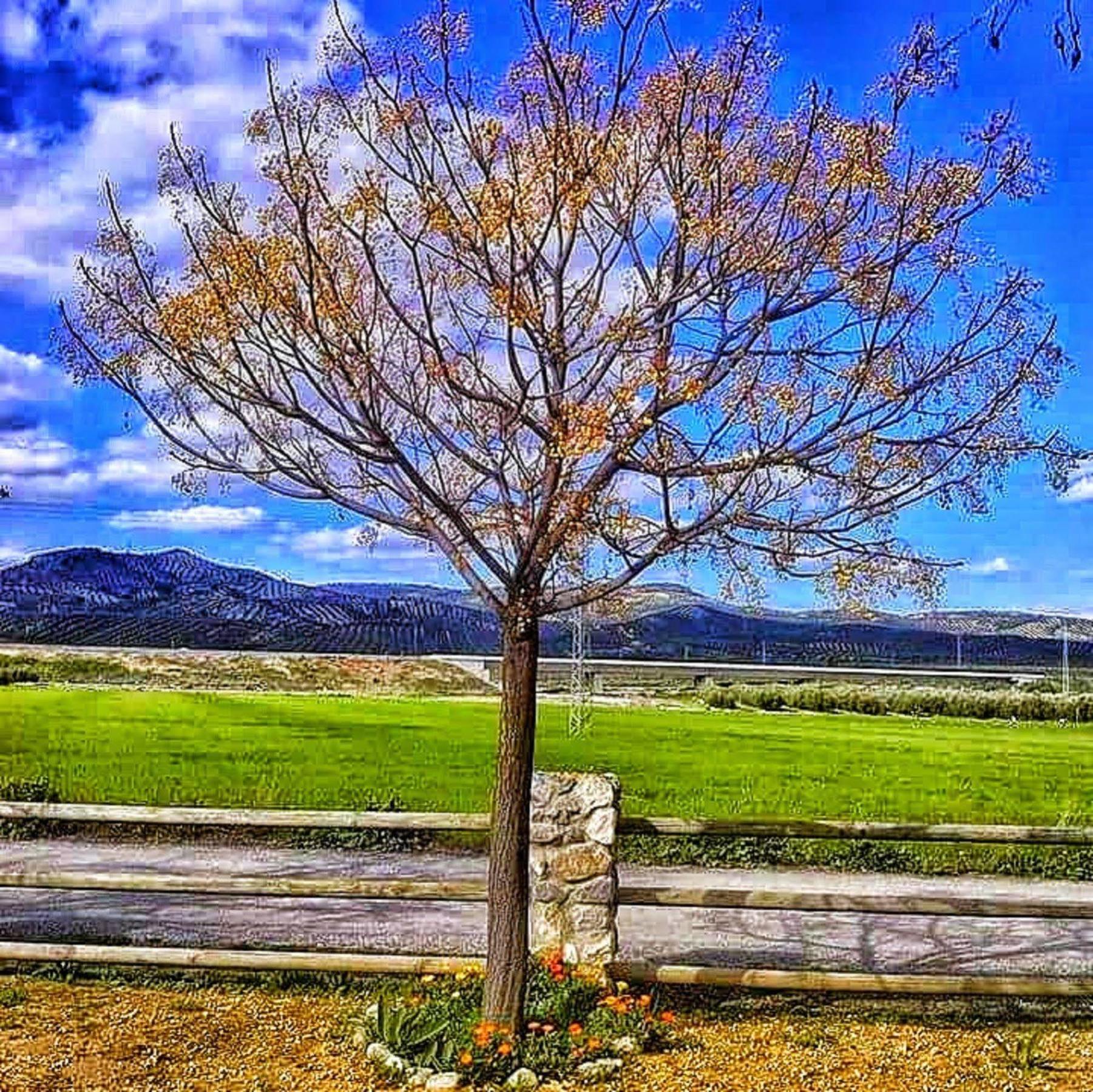 Hotel Alojamiento Rural El Cortijuelo Illora Exterior foto